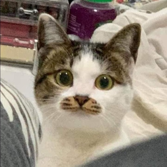 ghostberri